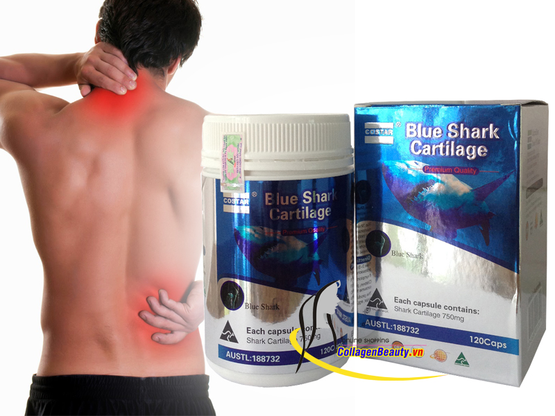 Sụn Vi Cá Mập Blue Shark Cartilage Costar 120 Viên