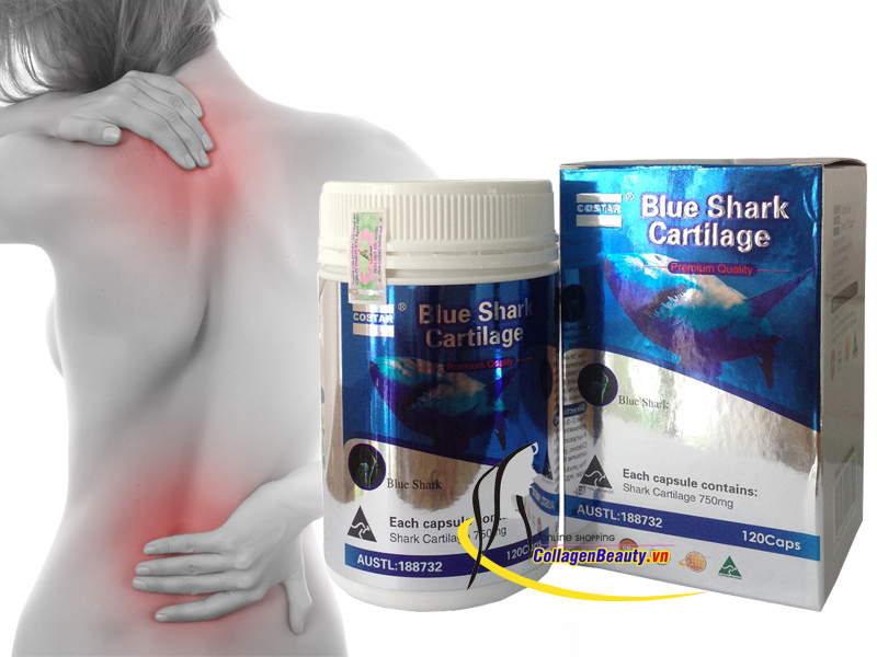 Sụn Vi Cá Mập Blue Shark Cartilage Costar 120 Viên