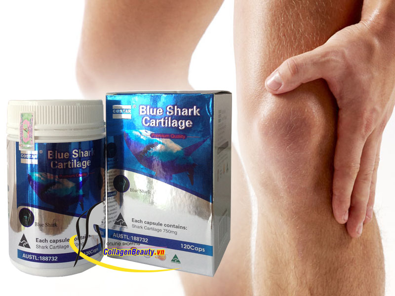 Sụn Vi Cá Mập Blue Shark Cartilage Costar 120 Viên