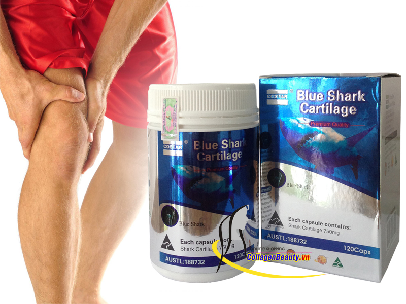 Sụn Vi Cá Mập Blue Shark Cartilage Costar 120 Viên