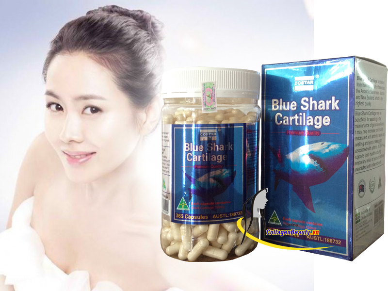 Sụn Vi Cá Mập Blue Shark Cartilage Costar 365 Viên