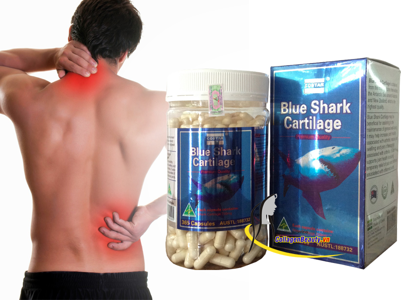 Sụn Vi Cá Mập Blue Shark Cartilage Costar 365 Viên