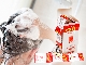 Dầu Gội Dược Liệu Thái Dương 7 Dạng Gói