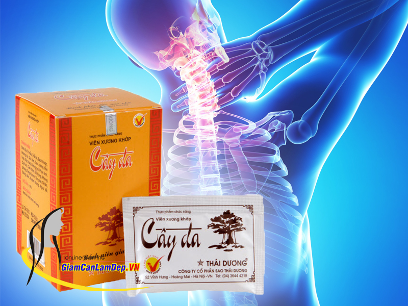 Viên Xương Khớp Cây Đa Hộp 10 Gói
