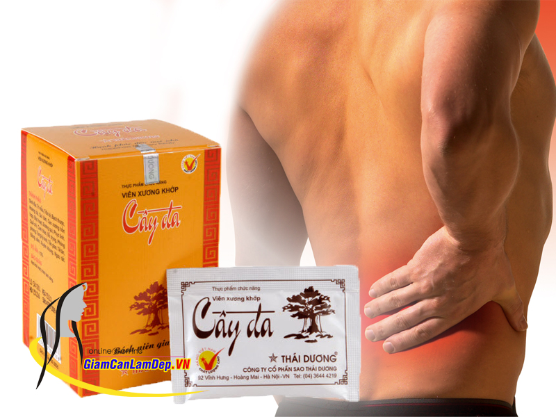 Viên Xương Khớp Cây Đa Hộp 10 Gói