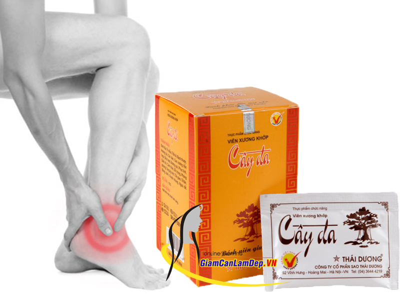 Viên Xương Khớp Cây Đa Hộp 10 Gói